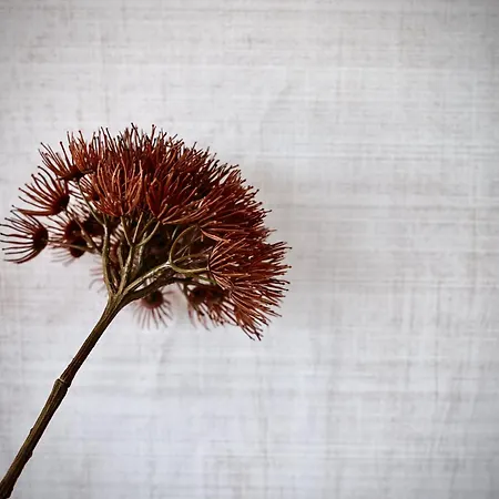 Apartman Haus Am Lift - Penthouse - Top4 - Summercard Included - Ski-in Ski-out - 6p