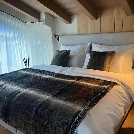 公寓 Haus Am Lift - Summercard Included - Ski-in Ski-out 滨湖采尔