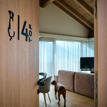 公寓 Haus Am Lift - Summercard Included - Ski-in Ski-out