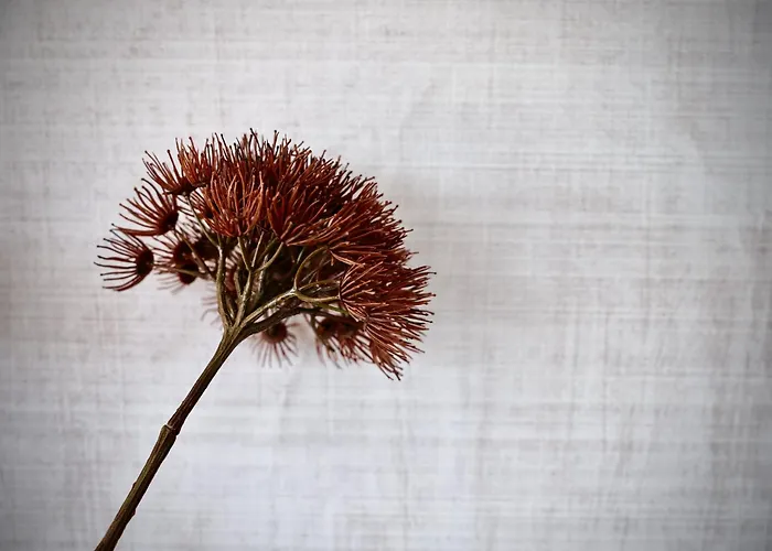 公寓 Haus Am Lift - Penthouse - Top4 - Summercard Included - Ski-in Ski-out - 6p