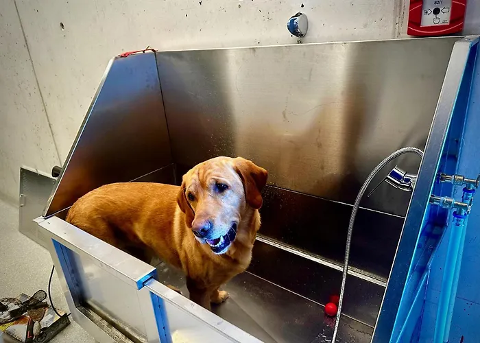 Haus Am Lift - Penthouse - Top4 - Summercard Included - Ski-in Ski-out - 6p *